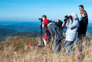 warsztaty fotograficzne